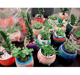 Mini Potted Plants Workshop